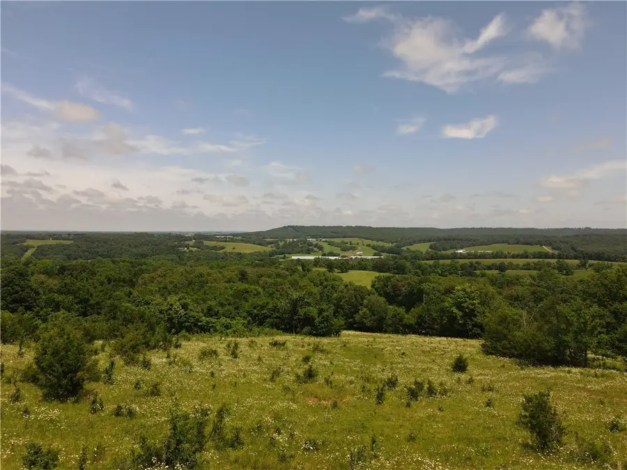 32701 Highway 295, Hindsville, AR 72738 - #2