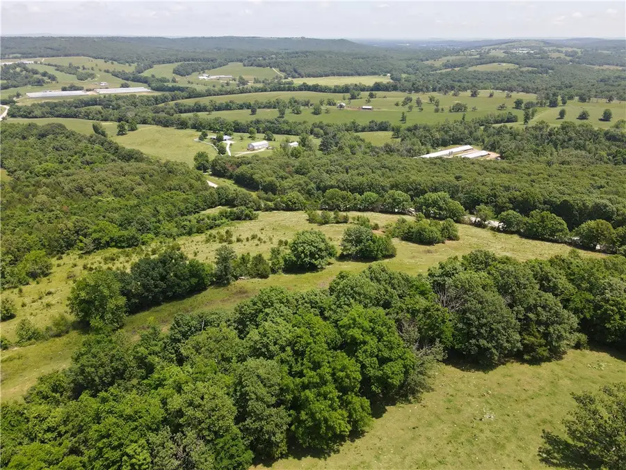 32701 Highway 295, Hindsville, AR 72738 - #3