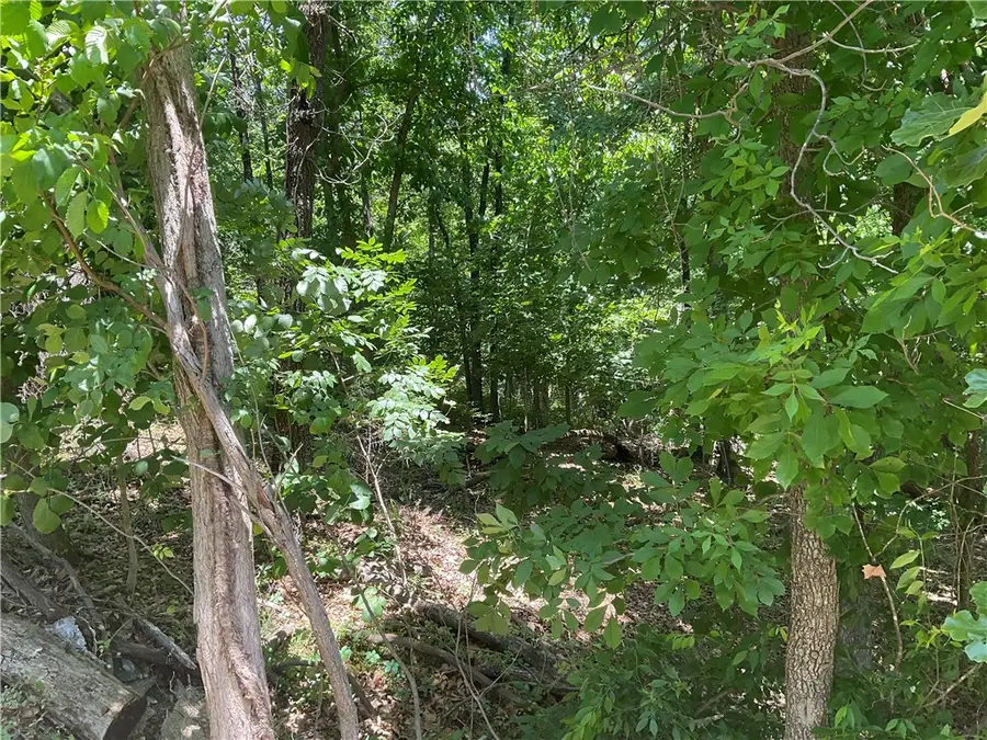 Stoneykirk Dr, Bella Vista, AR 72715 - #3
