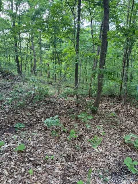 Eston Lane, Bella Vista, AR 72714 - #3