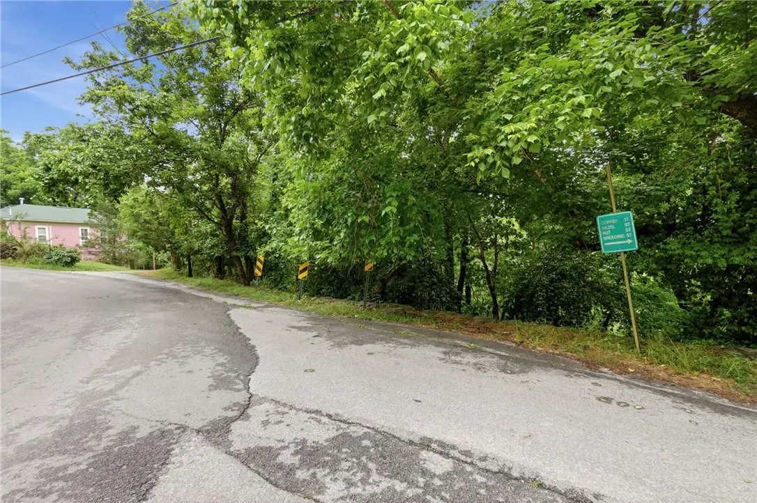 Hale Street, Eureka Springs, AR 72632 - #1