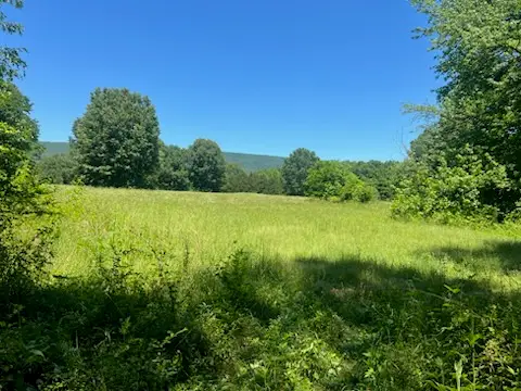 13535 Harkey Valley Road, Dardanelle, AR 72834