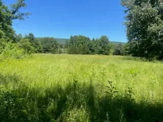 13535 Harkey Valley Road, Dardanelle, AR 72834 - #3