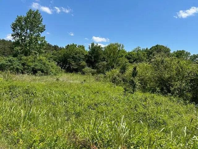 County Road 3538, Clarksville, AR 72830 - #3