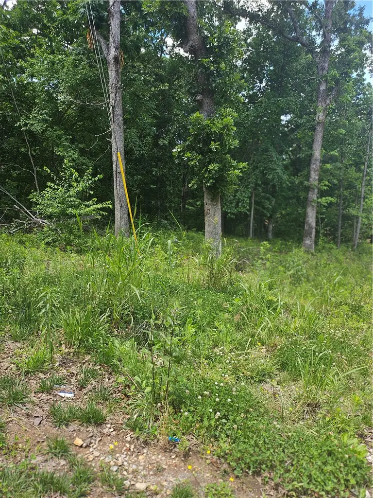 Lot 13 Moniave Lane, Bella Vista, AR 72715 - #1