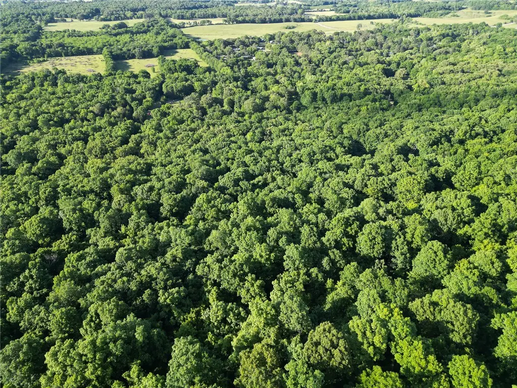 0000 Whiskey Creek Lane, Batesville, AR 72501 - #1