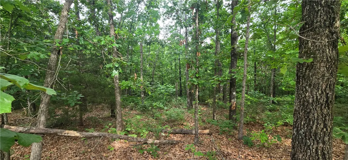 Laurencekirk Place, Bella Vista, AR 72715 - #1