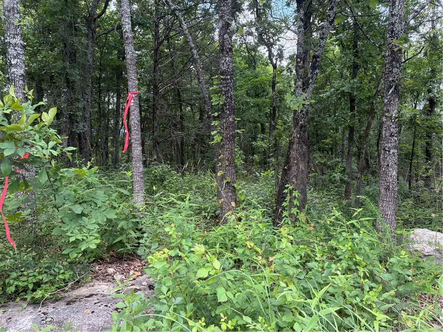 001-01040-000 Mc 6091, Marion County, AR 73634 - #3