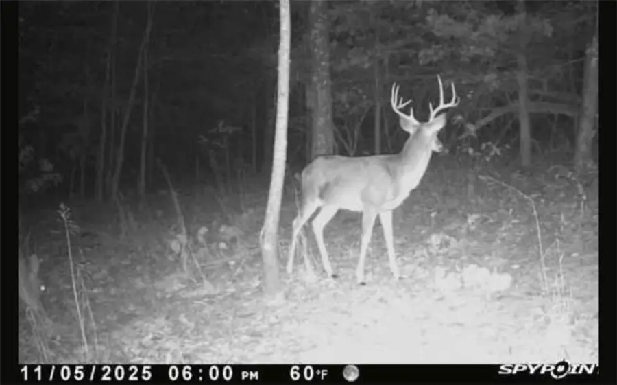 TBD N State Hwy 23, Booneville, AR 72927 - #2