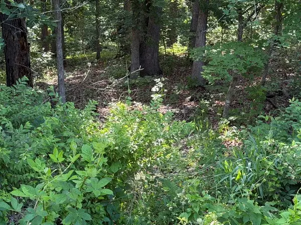 TBD Drayton Circle, Bella Vista, AR 72715