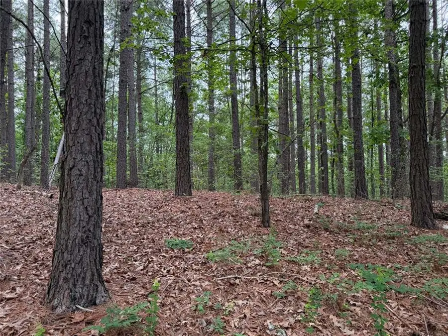 0000 Nc 3920 Road, Marble Falls, AR 72648 - #3