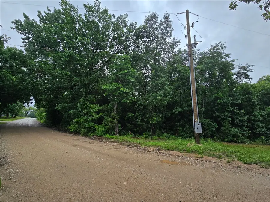 16882 Old Cricket Road, Omaha, AR 72662 - #3
