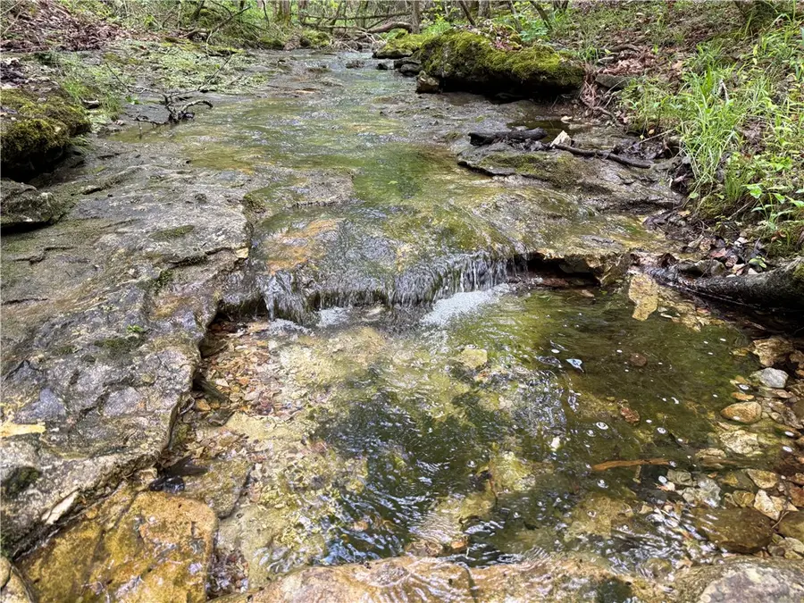 Tbd Hwy 187, Eureka Springs, AR 72631 - #3