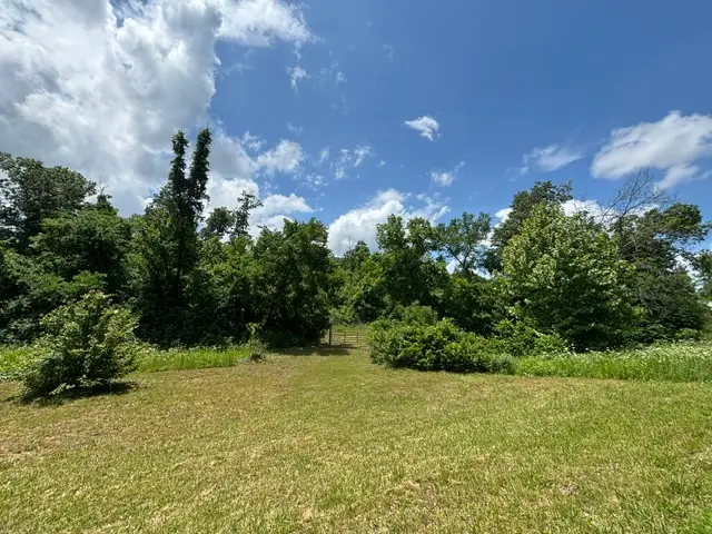 AR 21 s Berryville, AR 72 S Ar 21, Berryville, AR 72616 - #1