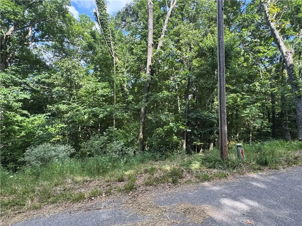 Amesbury Drive, Bella Vista, AR 72715 - #1