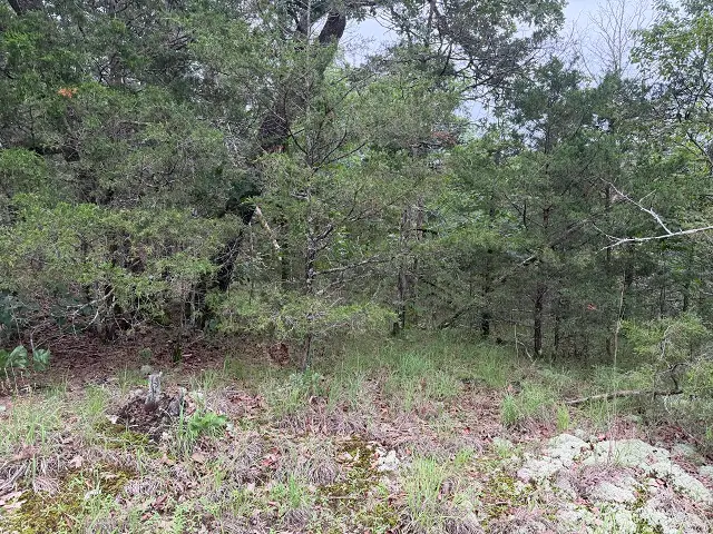 1031 Old Dolph Road, Calico Rock, AR 72519 - #2