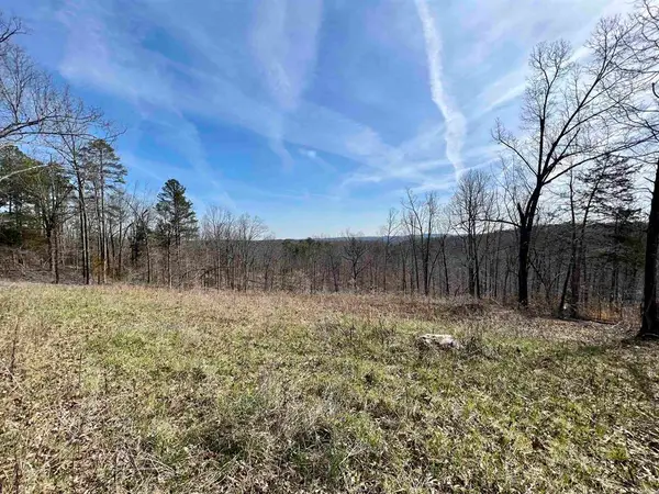 Tract 4 Ramblewood Trail, Yellville, AR 72687
