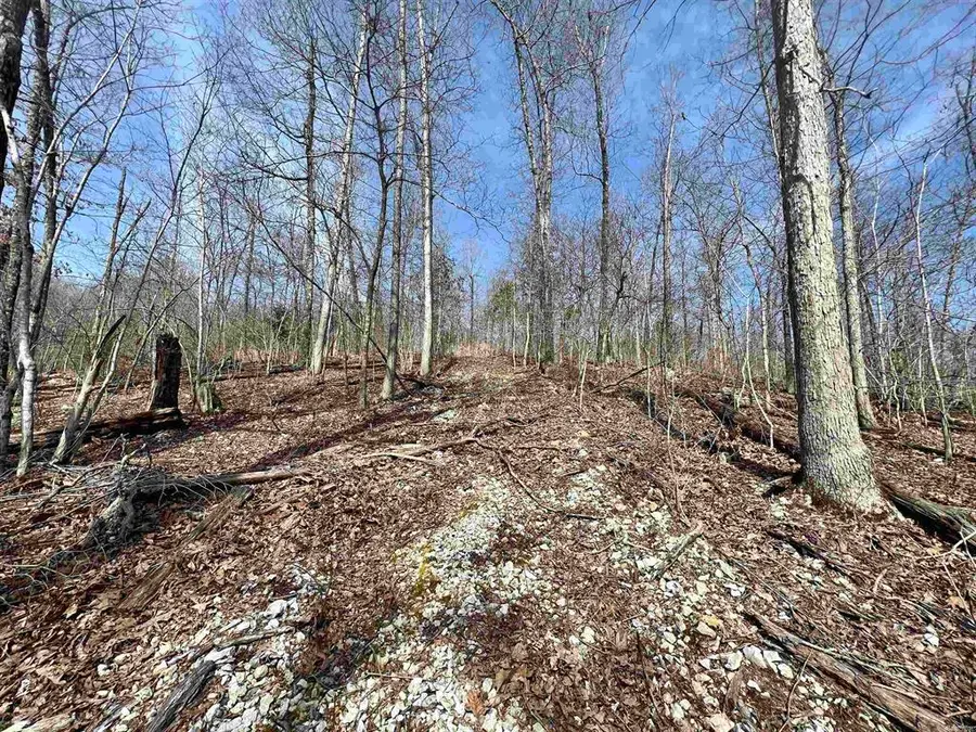 Tract 4 Ramblewood Trail, Yellville, AR 72687 - #2