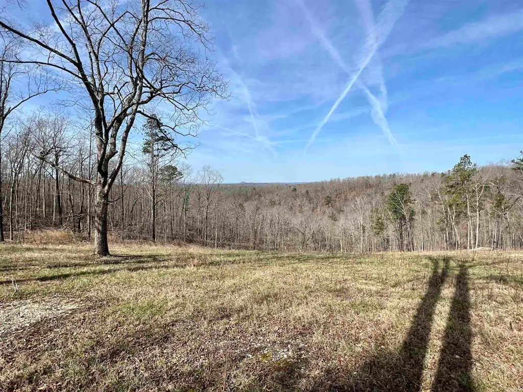 Tract 5 Ramblewood Trail, Yellville, AR 72687 - #1