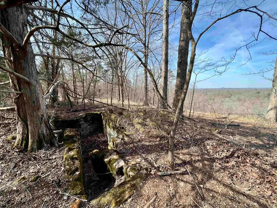 Tract 5 Ramblewood Trail, Yellville, AR 72687 - #2