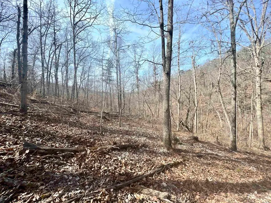 Tract 5 Ramblewood Trail, Yellville, AR 72687 - #3