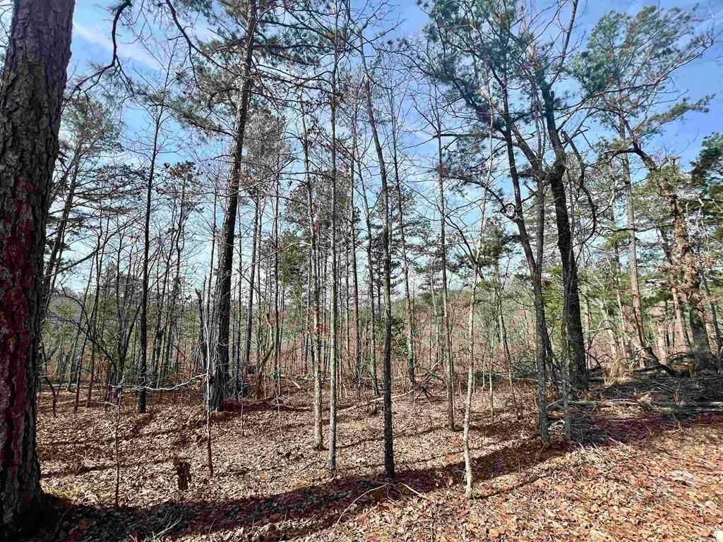 Tract 6 Ramblewood Trail, Yellville, AR 72687 - #1