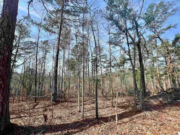 Tract 6 Ramblewood Trail, Yellville, AR 72687