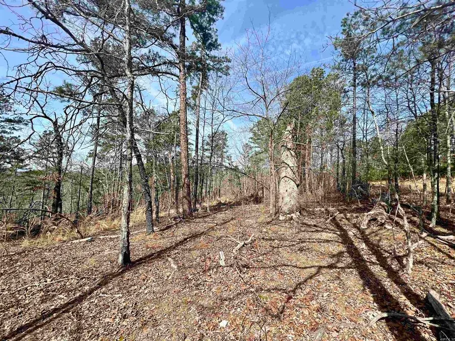 Tract 6 Ramblewood Trail, Yellville, AR 72687 - #2