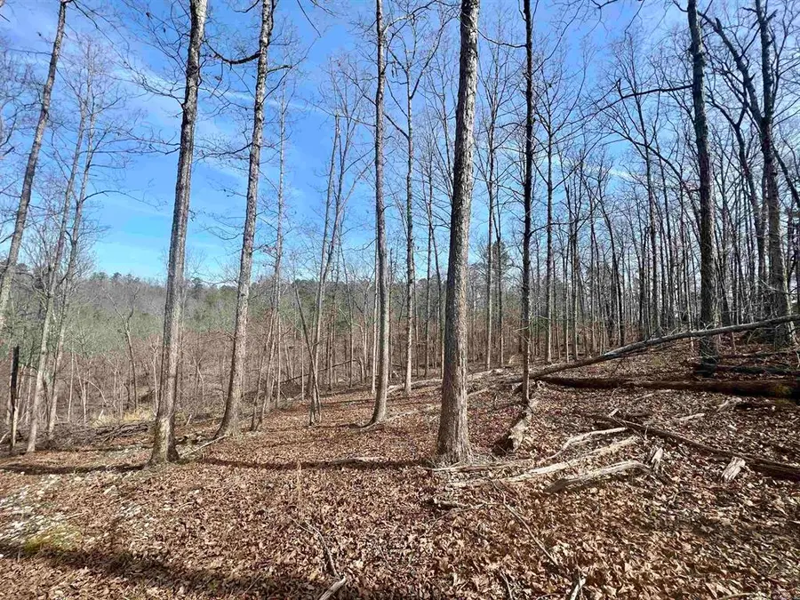 Tract 6 Ramblewood Trail, Yellville, AR 72687 - #3