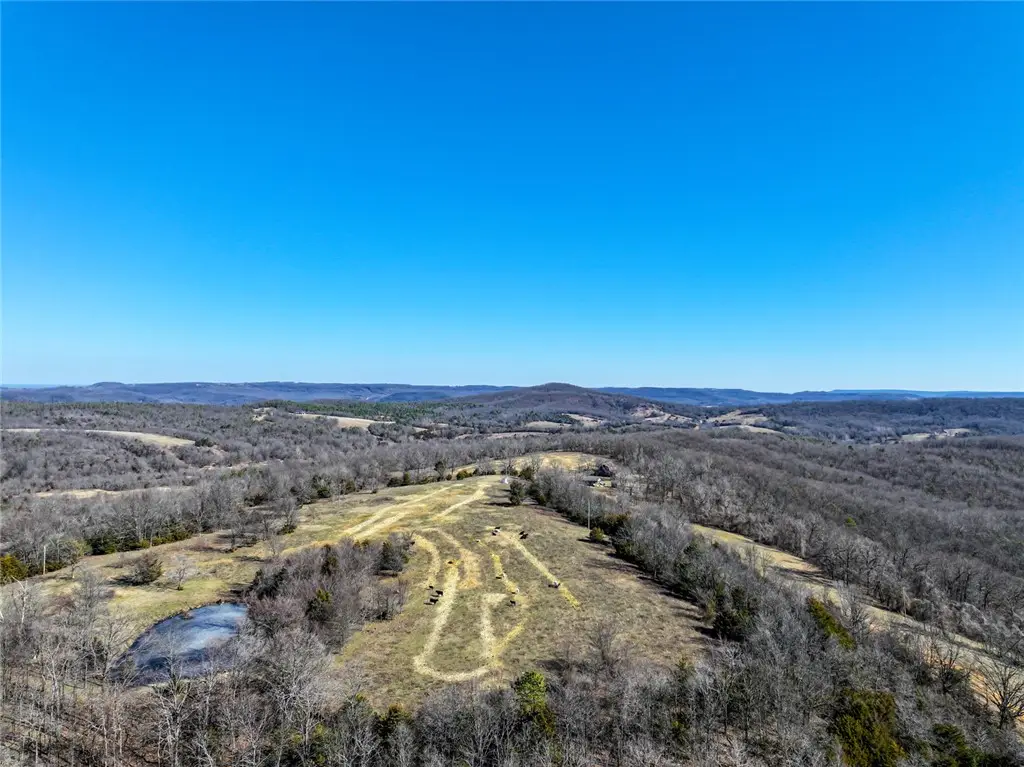 1061 County Road 731, Berryville, AR 72616 - #1