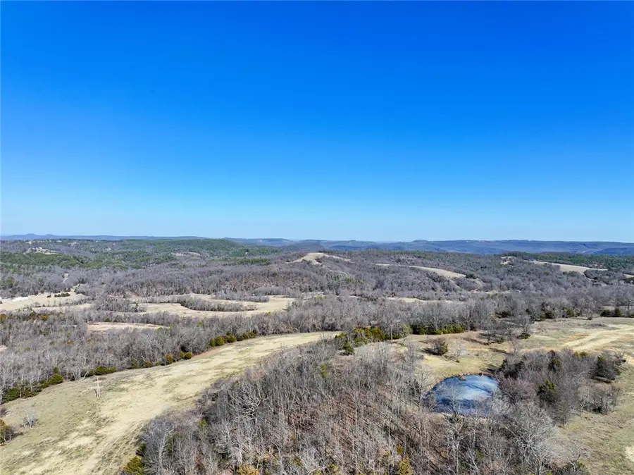 1061 County Road 731, Berryville, AR 72616 - #2