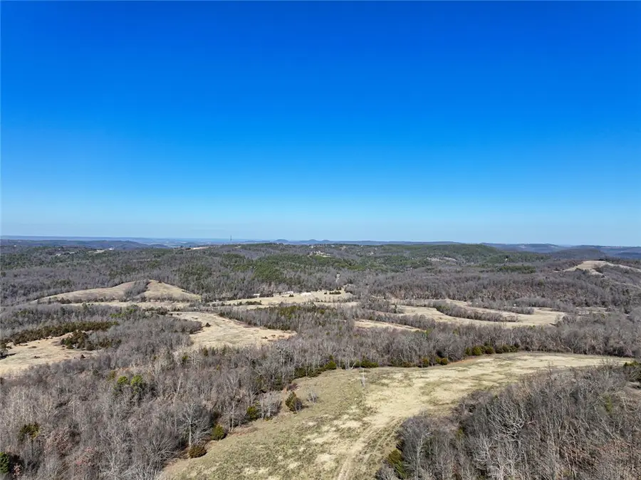 1061 County Road 731, Berryville, AR 72616 - #3