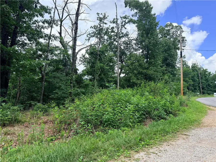 TBD Northampton Drive, Bella Vista, AR 72714 - #3