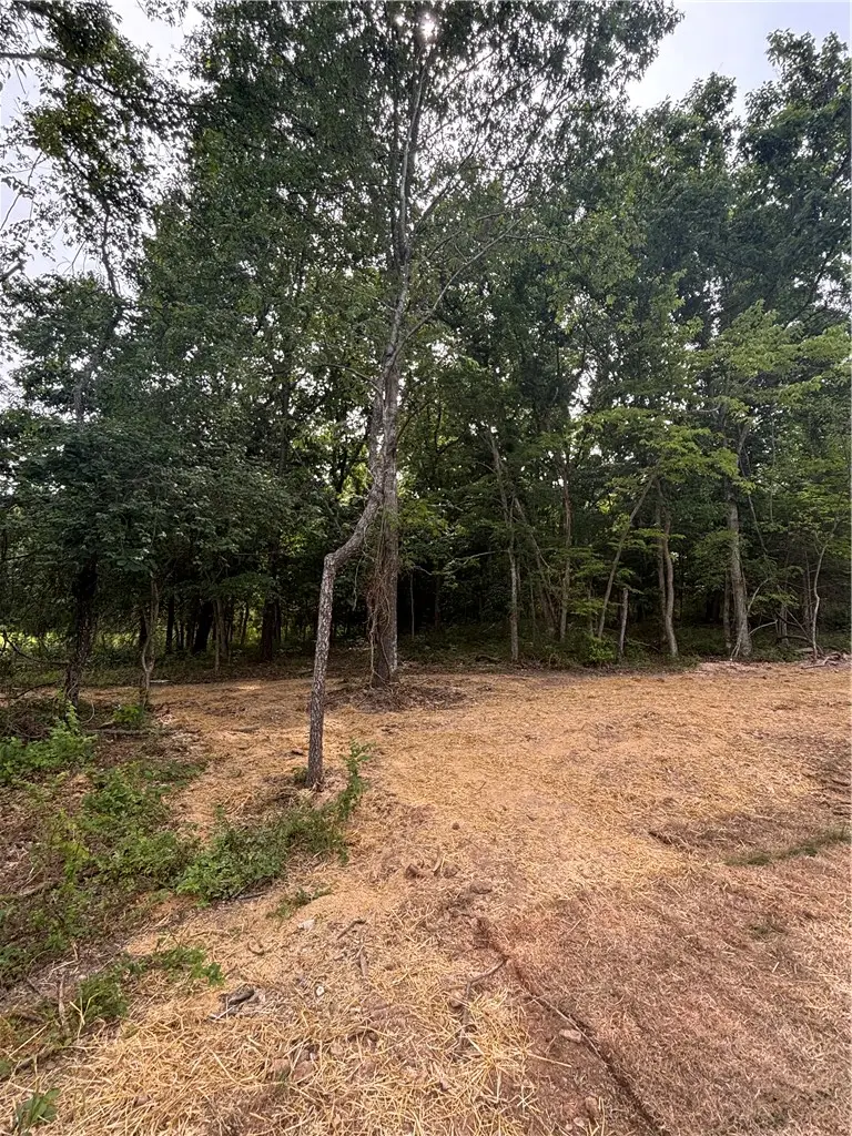 Hillborough Lane, Bella Vista, AR 72715 - #1