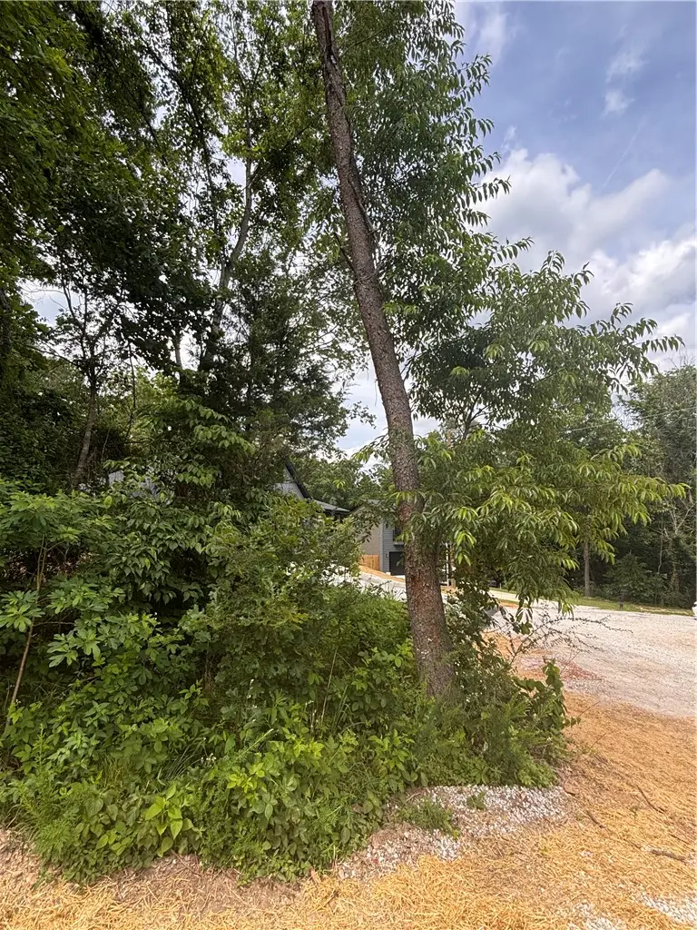 Hillborough Lane, Bella Vista, AR 72715 - #3