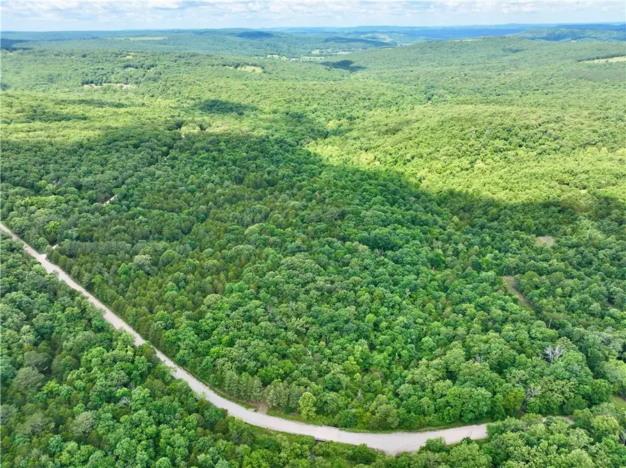 TBD Antioch Road, Canehill, AR 72717 - #2