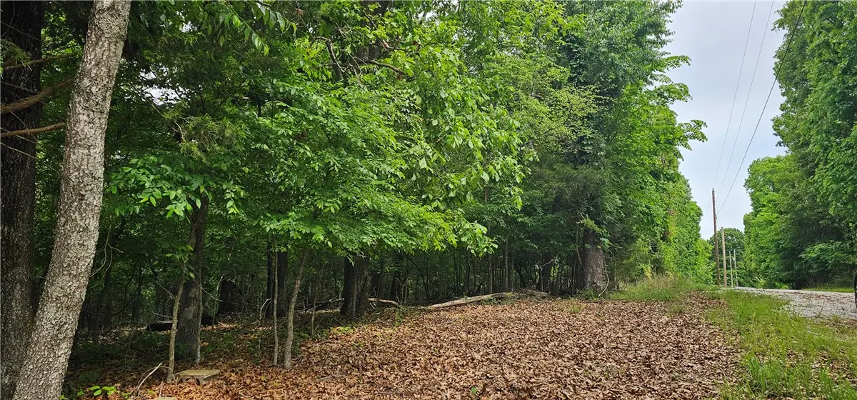 14215 Frisco Springs Road, Lowell, AR 72745 - #1
