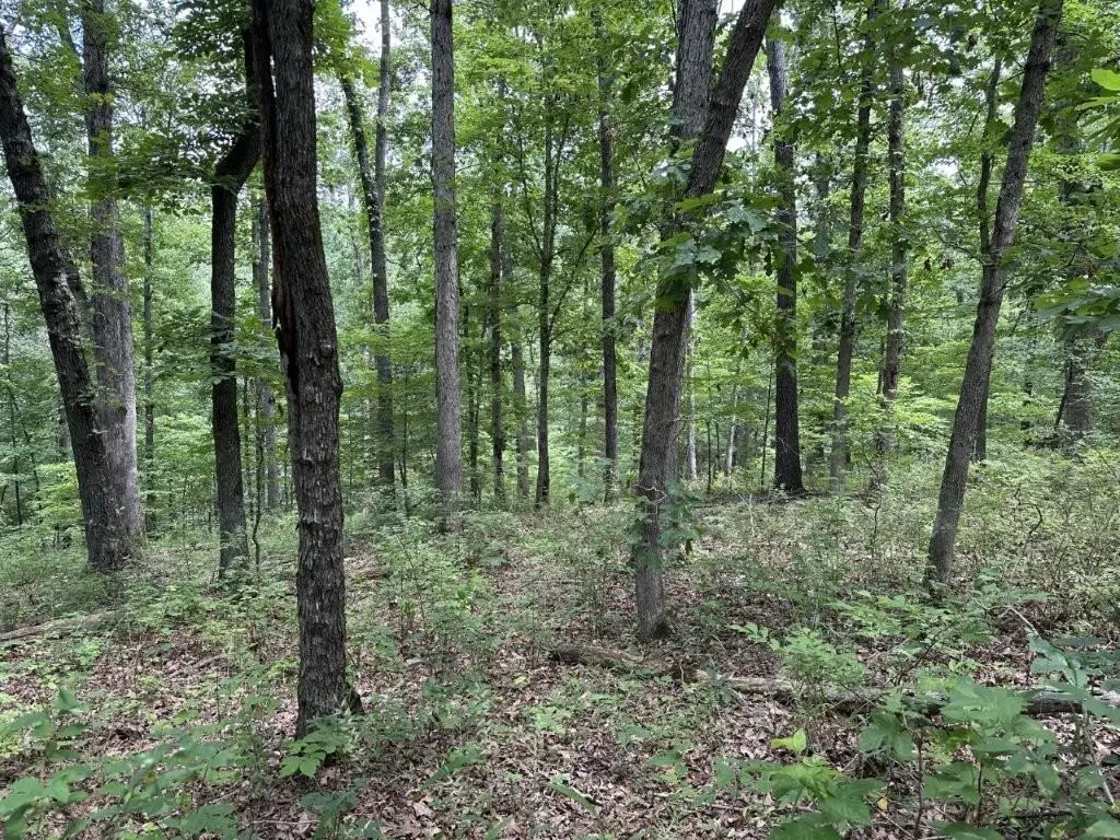 Lot 7 Eccleston Lane, Bella Vista, AR 72714 - #1