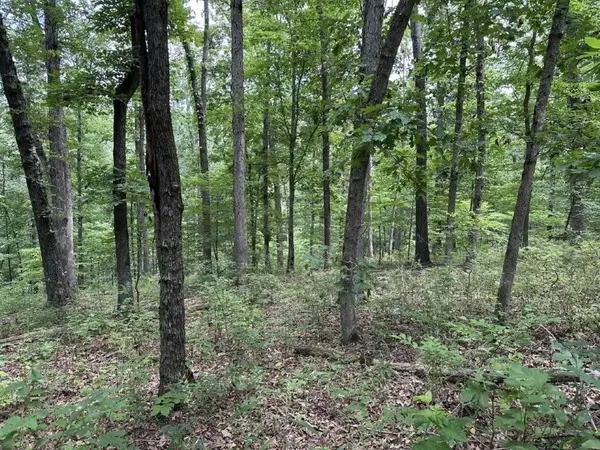 Lot 7 Eccleston Lane, Bella Vista, AR 72714