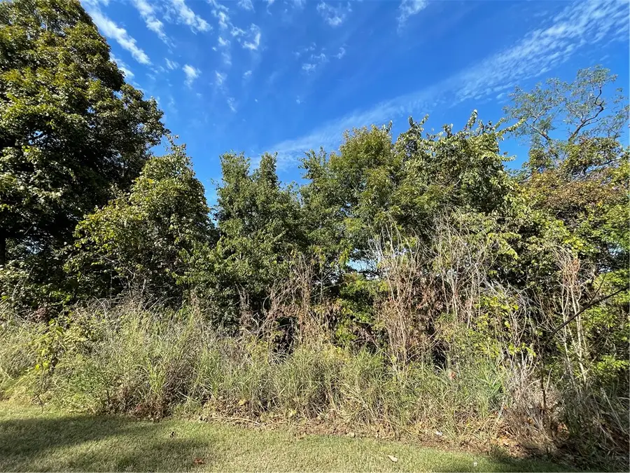 238 Holiday Island Drive, Holiday Island, AR 72631 - #2