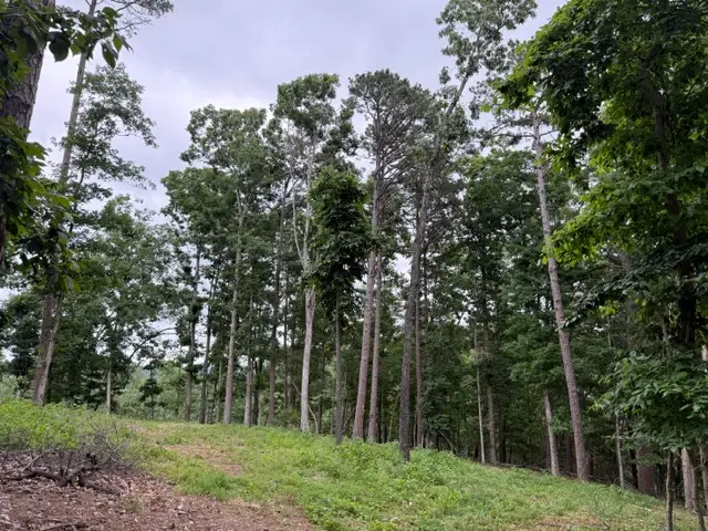 17575 Sweeps Lane, Rogers, AR 72756 - #2