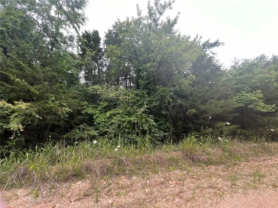 TBD E Mockingbird Trail, Lead Hill, AR 72644 - #2
