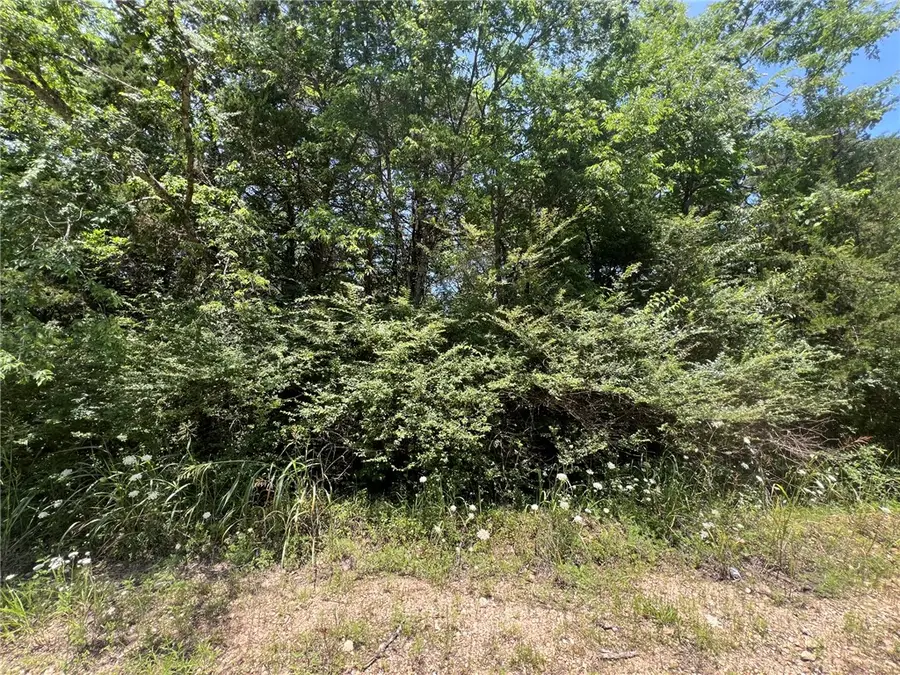 TBD E Mockingbird Trail, Lead Hill, AR 72644 - #3