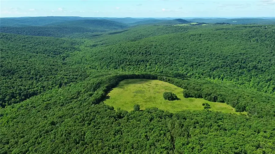 120 Acres Zinnamon Church Road, West Fork, AR 72774 - #2