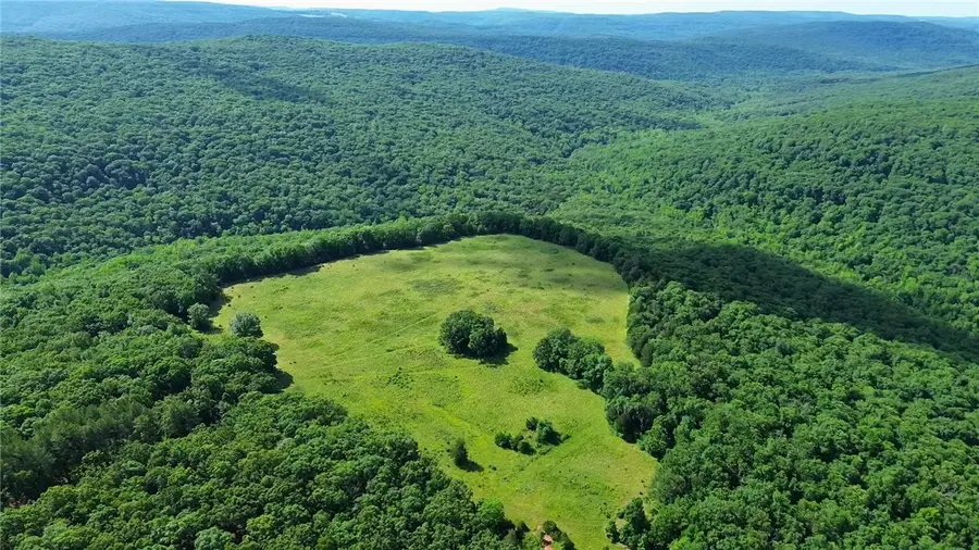 120 Acres Zinnamon Church Road, West Fork, AR 72774 - #3
