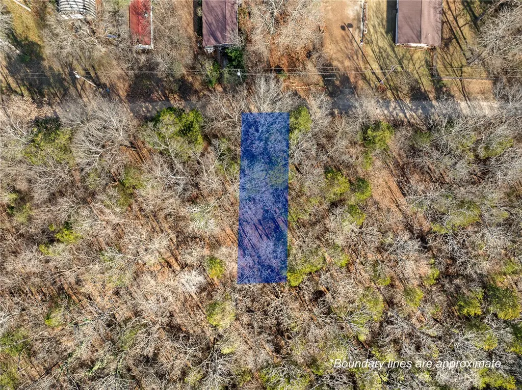Lot 19 Fawn Street, Diamond City, AR 72644 - #1