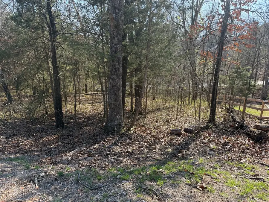 Lyneham Lane, Bella Vista, AR 72714 - #2