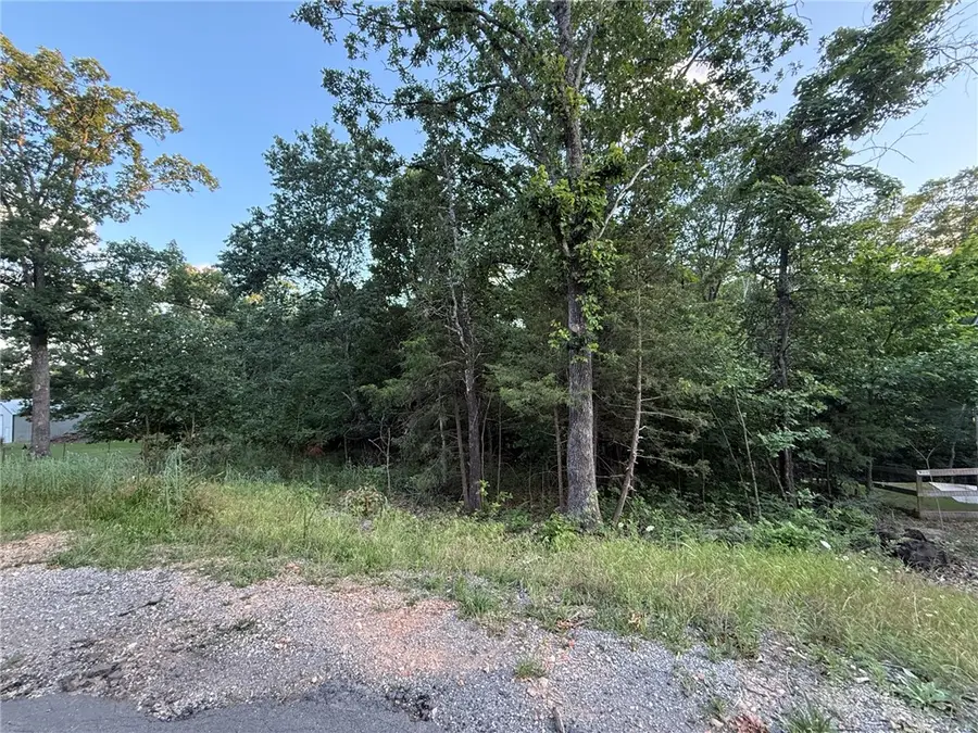 Lyneham Lane, Bella Vista, AR 72714 - #3
