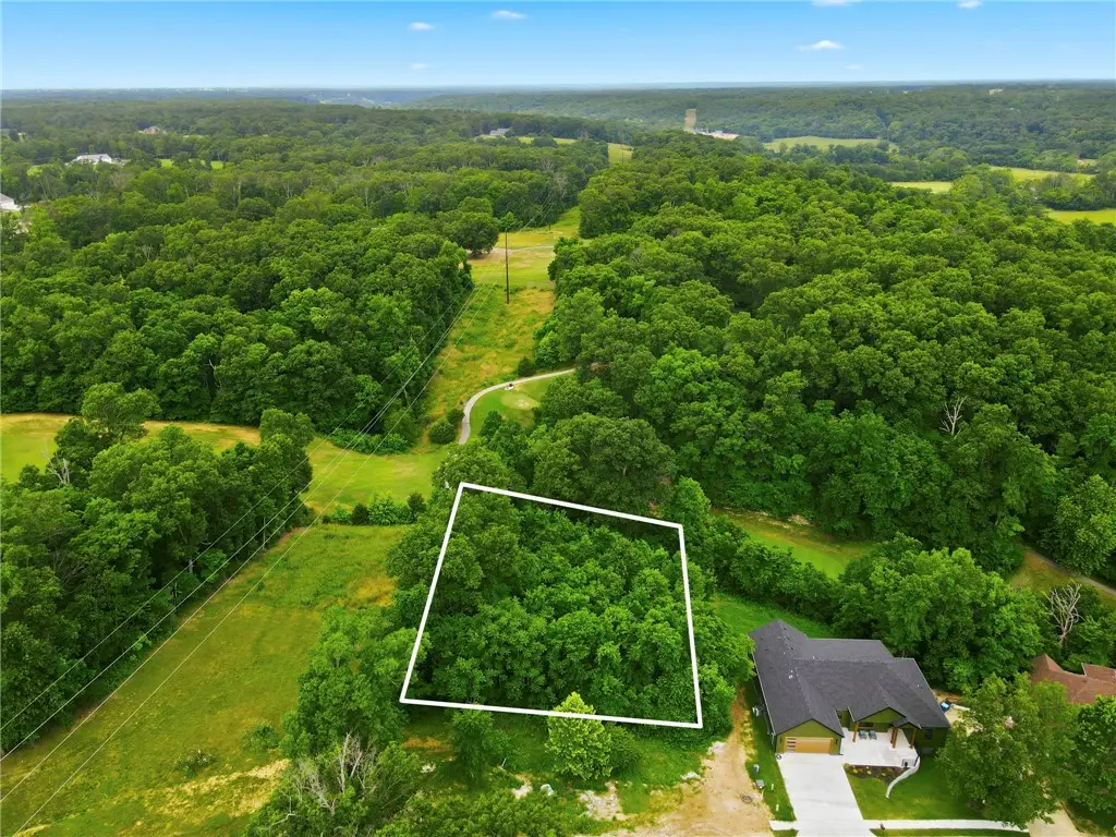 Lot 11 Lot 11 Peck Road, Pea Ridge, AR 72751 - #1