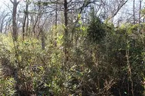 275 W 22nd Street, Fayetteville, AR 72701 - #1